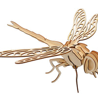 Dragonfly Rompecabezas 3D