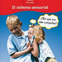 El Sistema Sensorial