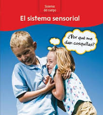 El Sistema Sensorial