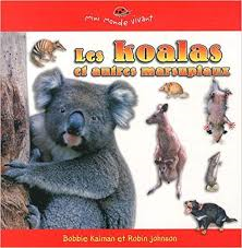 Les Koalas et autres marsupieux