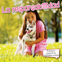 La responsabilidad