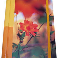 Libreta Grande Flor Naranja
