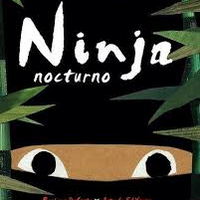 Ninja nocturo