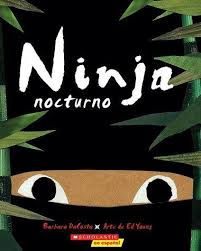 Ninja nocturo