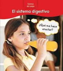 El Sistema Digestivo