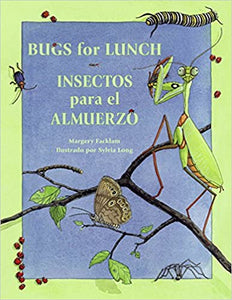 Insectos para el almuerzo