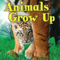 Animals Grow Up Life Cycles