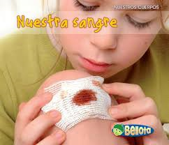 Nuestra Sangre