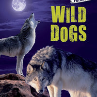 Wild Dogs Investigate predators