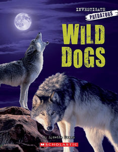 Wild Dogs Investigate predators