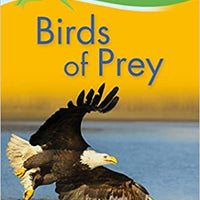 Birds of Prey L2