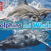 Dolphins and whales in a Box
