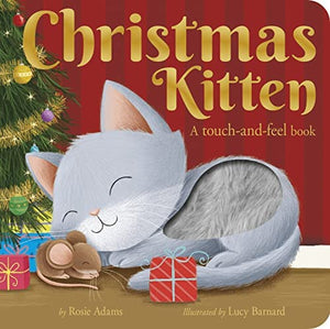 Christmas Kitten touch and feel
