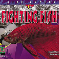 Fighting Fish