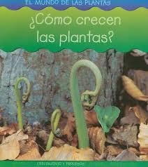 Como crecen las plantas