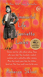 Immortal life of Henrietta Locks