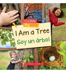 I am a tree  Soy un arbol