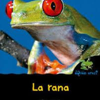 La Rana Quién Eres