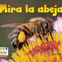 Mira la abeja