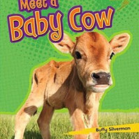 Meet a baby cow Pasta dura