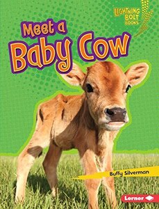 Meet a baby cow Pasta dura