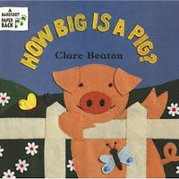 How Big is a Pig