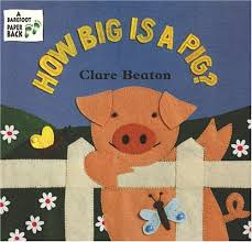 How Big is a Pig