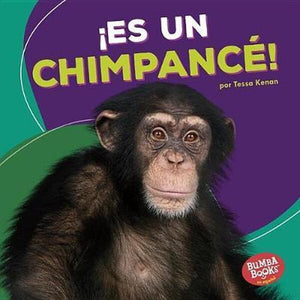 Es un Chimpancé Pasta Dura