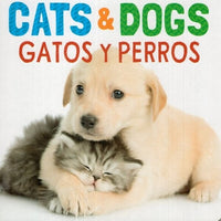 Cats and Dogs Gatos y Perros