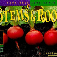 Plant Stems and roots