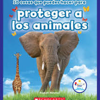 10 cosas que puedes hacer para proteger a los animales